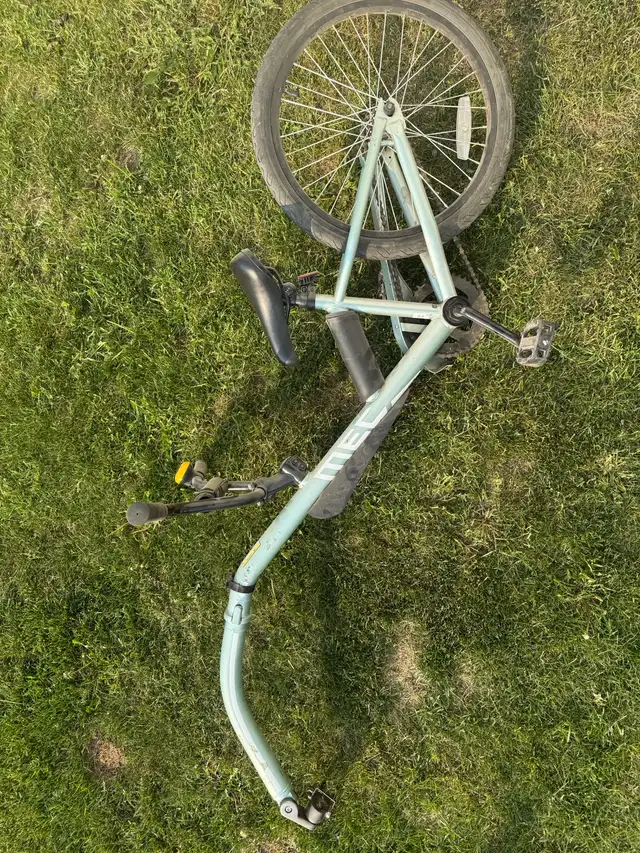 weehoo tag-a-long bike in Other in Edmonton - Image 2