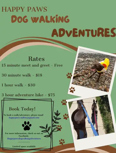 Dog Walking Services , View more