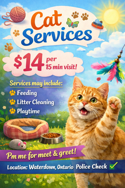 Cat services, View more