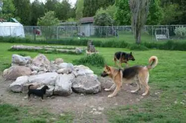 K-9 Komfort Inn is a boarding kennel for dogs, cats and rescues. We are a family business that has b...