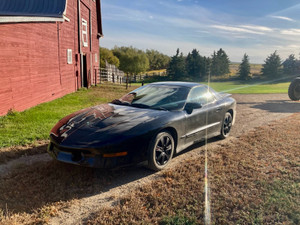 1995 Pontiac Firebird Trans Am