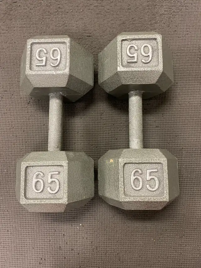 Dumbbell Weights ($1.50/lb) in Exercise Equipment in Ottawa - Image 7