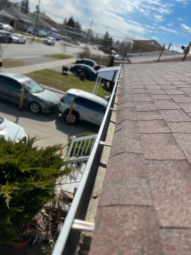 $200 Eavestrough & Leaf Removal Special!63860080396929123