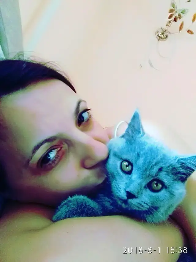 Dog & Cat Sitter – Boarding Available in Animal & Pet Services in Ottawa - Image 4