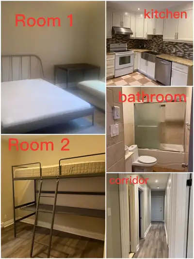 room shared accommodation