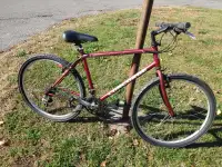 Concorde kudu MTB (19" frame)