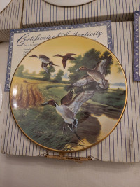 Pintails in Indian Summer by Lynn Kaatz  Collector Plate