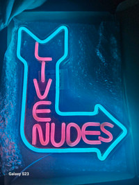 Neon Light Sign Lumière Live Nudes LED USB Brand New 