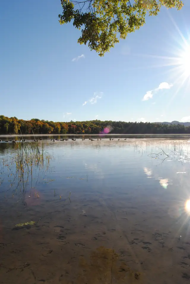 WATERFRONT LAND in Land for Sale in Gatineau - Image 3