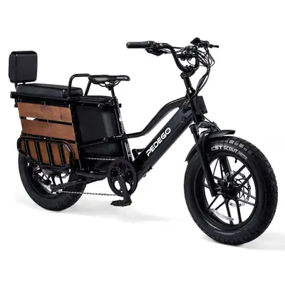 Looking to rent a cargo/tandem bike, View more