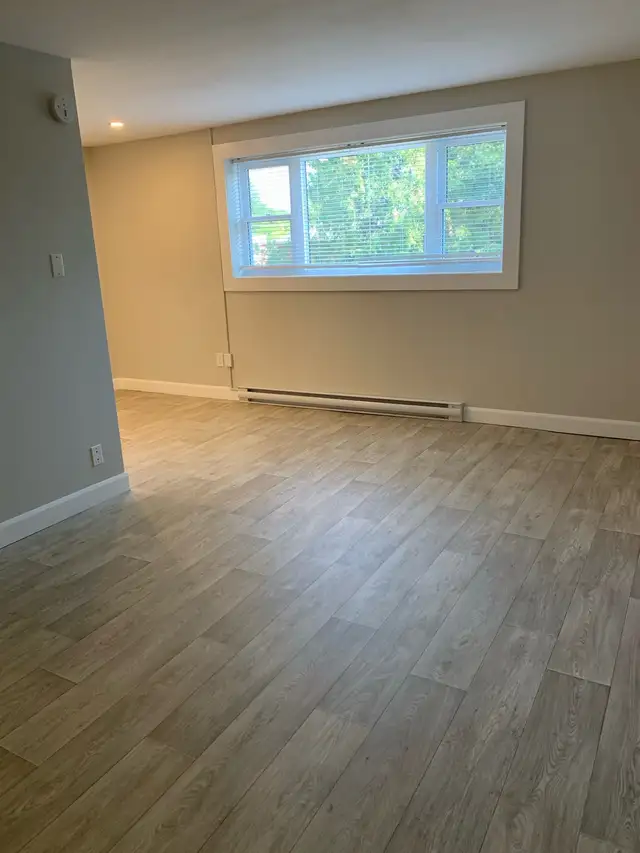 Spacious 1bdrm (Adelaide & Thompson)