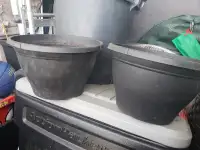 Pair of 11" Diameter Planter pots
