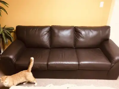 Leather sofa, purchased from Leon’s, about 78” long, dark brown in colour. Not used much, about 6 yr...