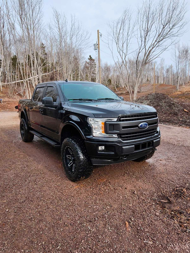 2018 Ford F150 Xlt  in Cars & Trucks in Truro - Image 4