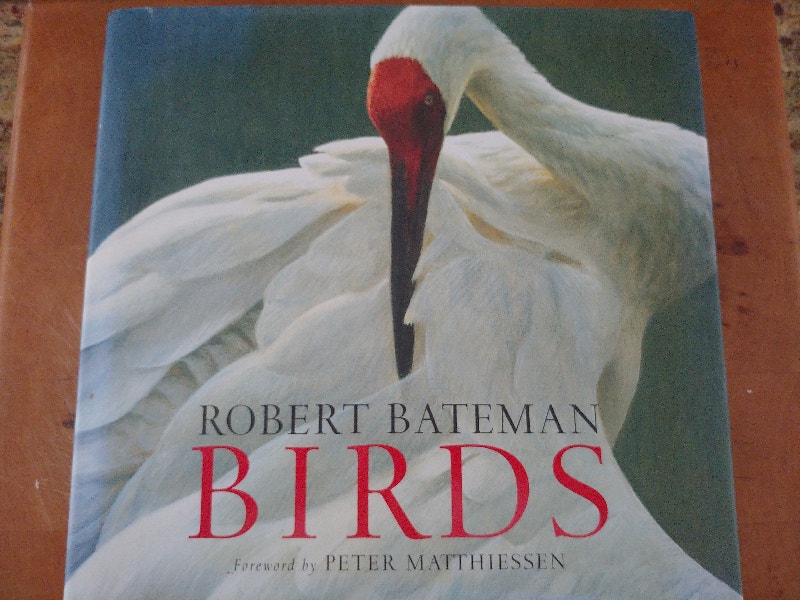 robert bateman bird in All Categories in Canada | Kijiji Marketplaces