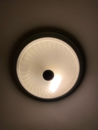 Ceiling Light - Ridged Glass Flush Mount - Globe Electric