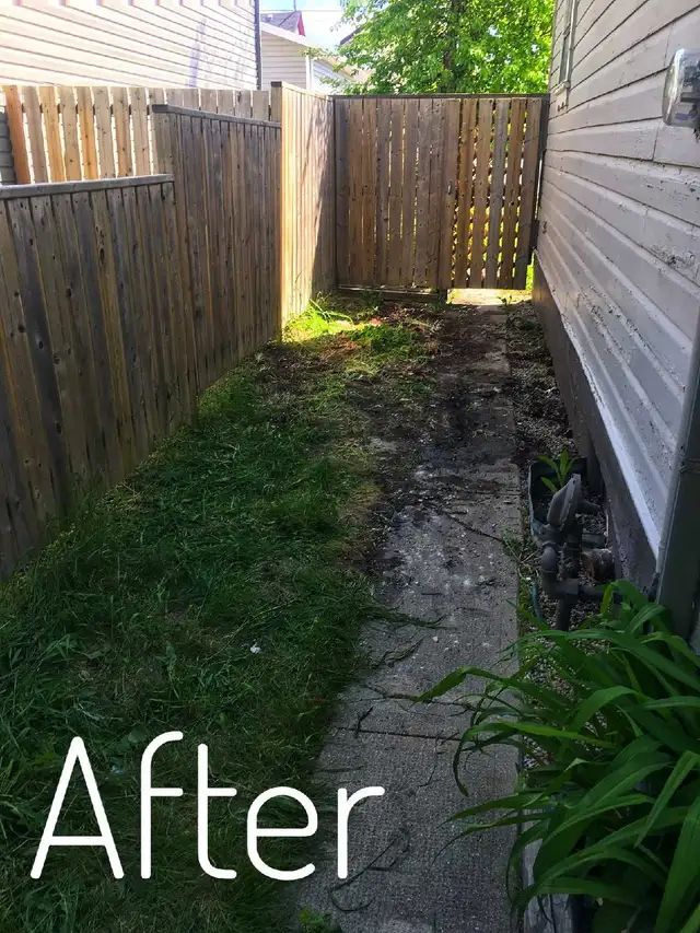 JUNK REMOVAL SERVICE566525061864499207