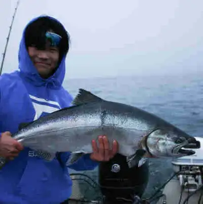 We take you out on our boat to catch salmon, trout, walleye, perch for an affordable price!!!! visit...