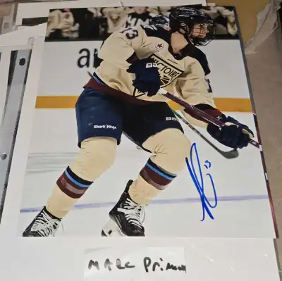 Alexandra Labelle signed 8x10 photos Victoire Women's Hockey, View more