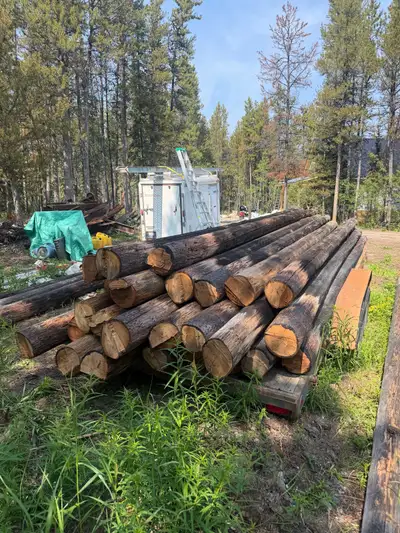 red cedar poles , View more