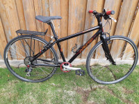 Haro Roscoe Hybrid Bike 16" - Small