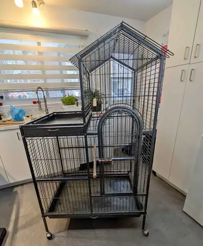 cage perroquet, View more
