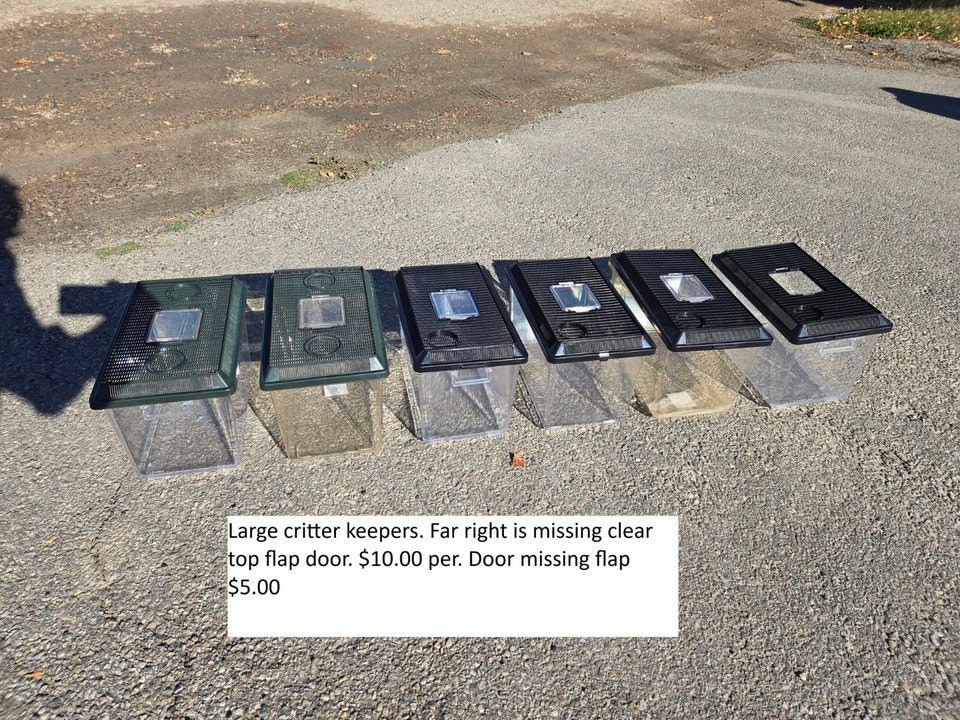DVRR Semi-Annual Sale! | Reptiles & Amphibians for Rehoming | Red Deer ...