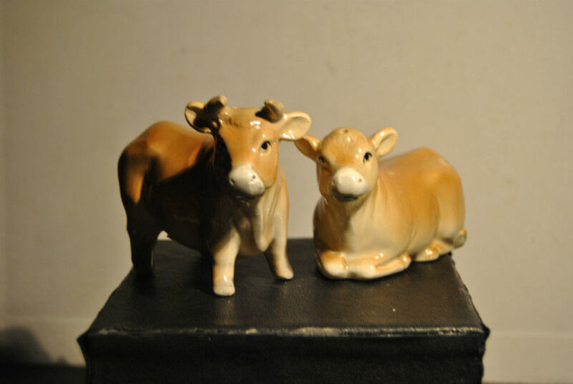 6 pc Collection Salt Pepper Shakers in Arts & Collectibles in Vancouver - Image 2