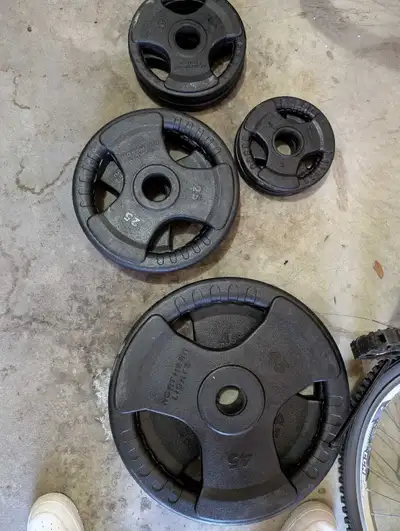 Selling my Northern Lights Rubber Coated Oympic Steel Plates. They are all in immaculate condition w...