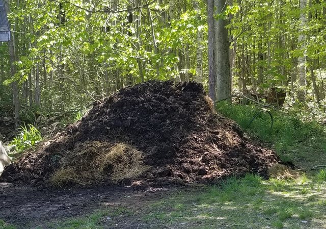 FREE MANURE in Plants, Fertilizer & Soil in Owen Sound