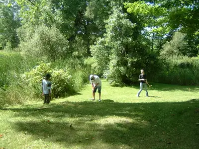 I am offering Leaf clean up in your yard. Just a few days until the snow comes; Yes if you are in th...