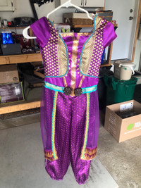 Jasmine Disney Costume/Dress