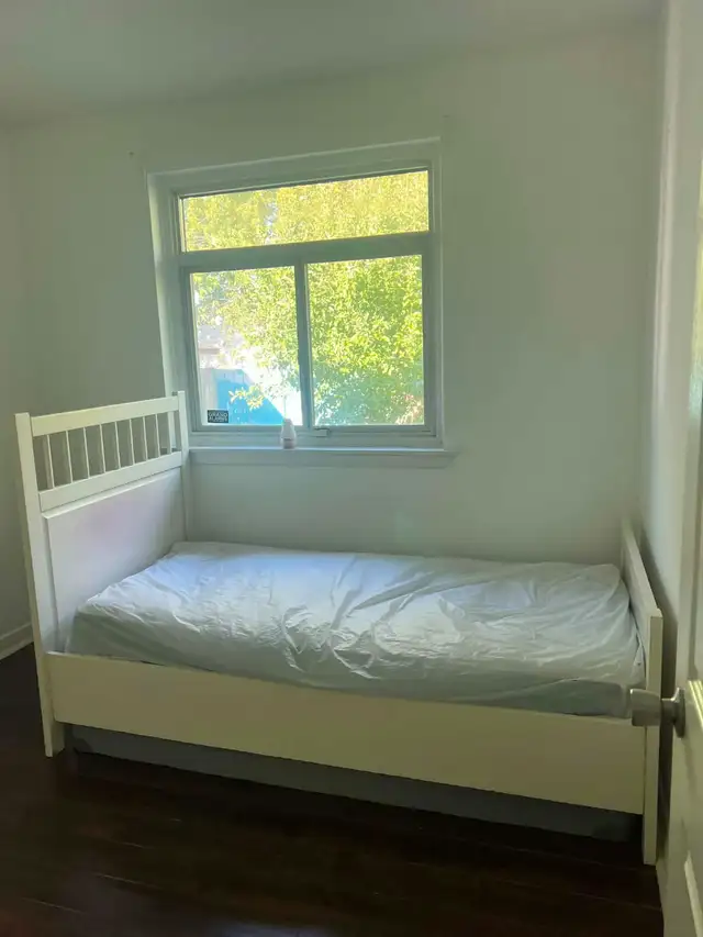 Single Room available Near Weston Rd and Sheppard Ave