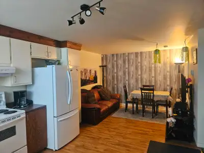 Magnifique logement situé à proximité de tous les services (Écoles, transport en commun et parc)