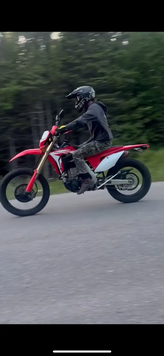 2019 Honda CRF 450L in Dirt Bikes & Motocross in Thunder Bay - Image 3