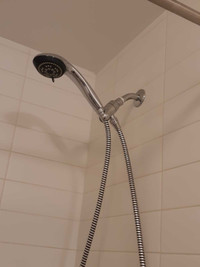 Shower head