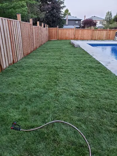 Have your lawn and garden looking beautiful this summer. We do lawn renovation, seeding, topsoil dre...