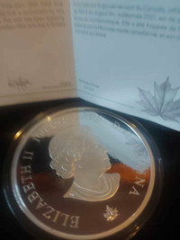 2021 10oz silver 100 dollar coin mintage 800, sold out. Very har