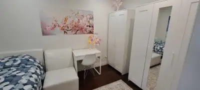 Newly renovated house, bright cozy clean quiet with furnished bedrooms on the main floor, 1 room is...