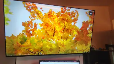 65" hisense u68n mini led google tv for sale/trade, View more
