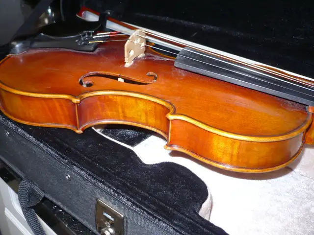 red violin 4/4 beauty+ powerful in String in Mississauga / Peel Region - Image 9