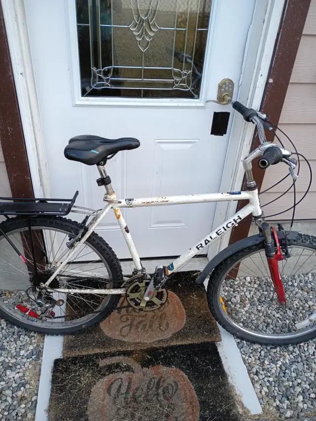 21 speed Raleigh bicycle