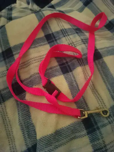 Bright Pink Dog Leash with Buckle, View more