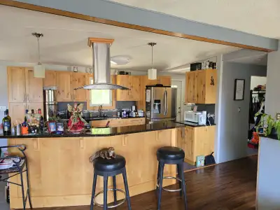 Available NOW Laid back Lady Offering room (all inclusive)in Shared Spacious home In Rosemont(next t...