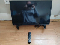 2x 24" Insignia TVS