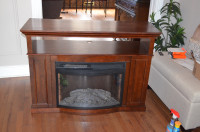 Beautiful Electric Fireplace (with curved glass)