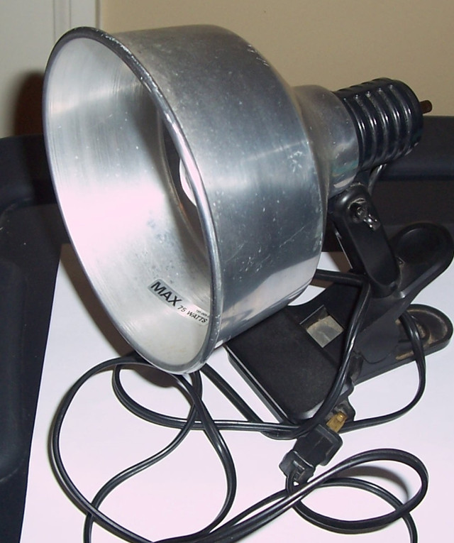clamp on desk lamp w/ clip and light bulb in Indoor Lighting & Fans in Kitchener / Waterloo