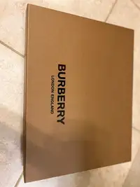 Burberry silk scarf (Authentic)