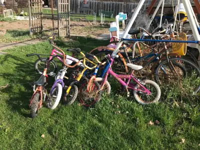 Assorted bicycles for parts, View more