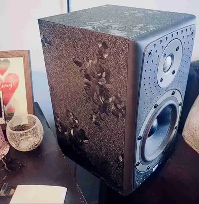 Bowers & Wilkins DM303 with Metal Stands, View more